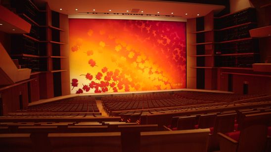 紅花の守人 いのちを染める 画像7