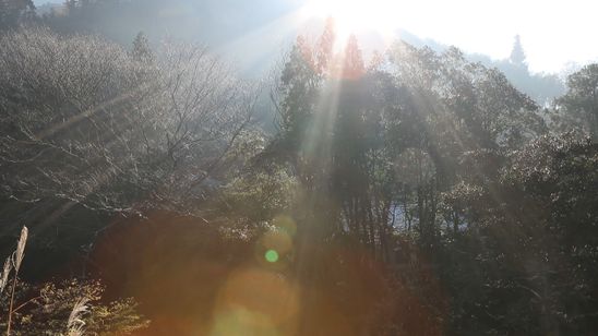 銀鏡 SHIROMI 画像7