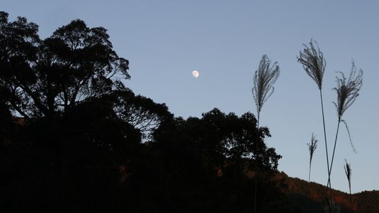 銀鏡 SHIROMI 画像8