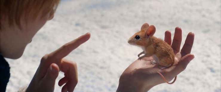 クリスマスとよばれた男の子 画像7