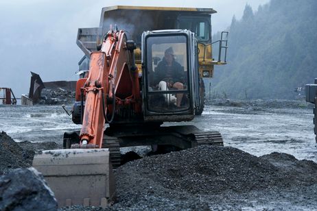 やまぶき 画像4