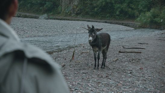 宇宙探索編集部 画像5