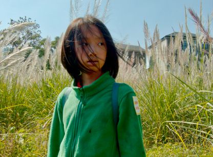 郊外の鳥たち 画像8