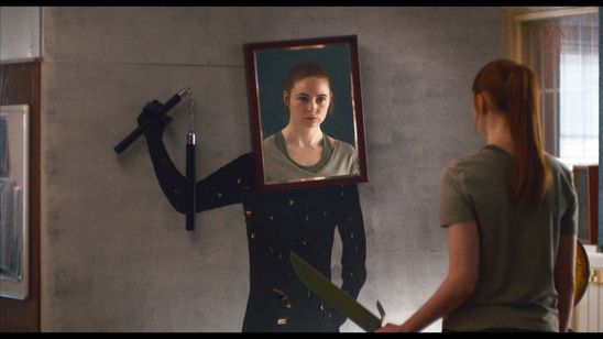 デュアル 画像2