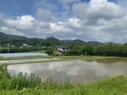 百姓の百の声 画像2