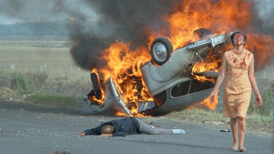 殺しを呼ぶ卵 最長版 画像4