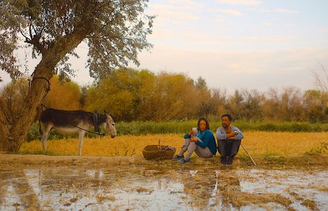 小さき麦の花 画像2