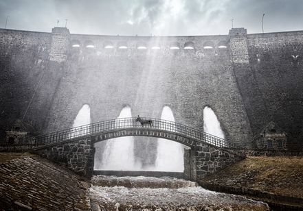 EO イーオー 画像2