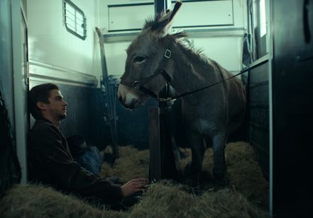 EO イーオー 画像3