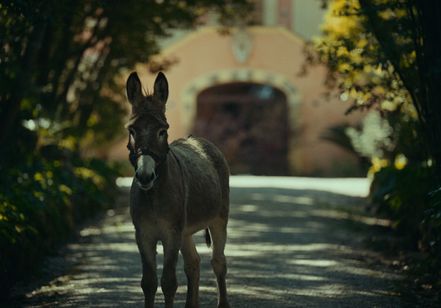 EO イーオー 画像8