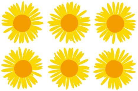 マイヤ・イソラ 旅から生まれるデザイン 画像8