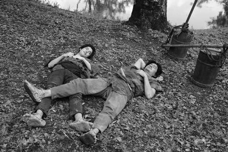 せかいのおきく 画像6