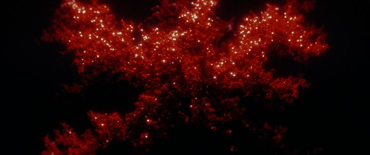 NEW RELIGION 画像2