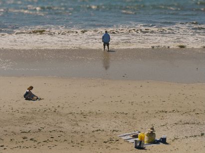 ザ・ホエール 画像8