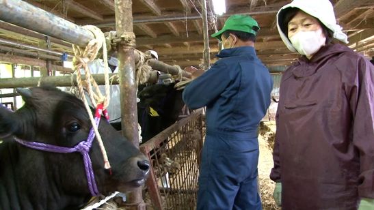 飯舘村 べこやの母ちゃん 画像2