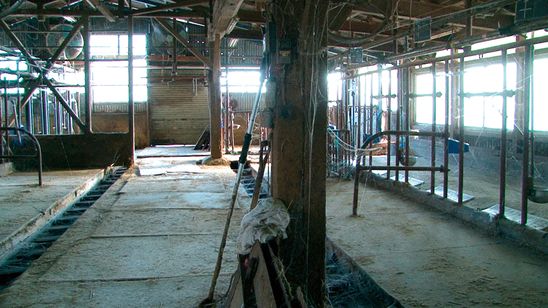 飯舘村 べこやの母ちゃん 画像5