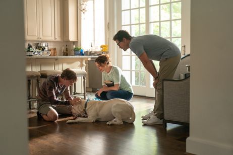 きっと見つける 画像2