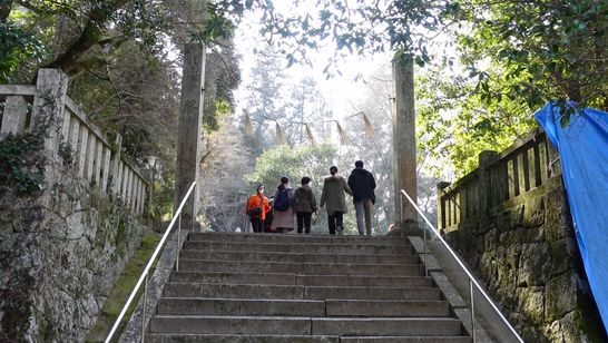 音の映画 Our Sounds 画像5