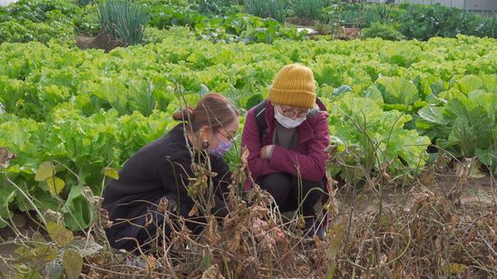 ケアを紡いで 画像6