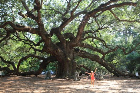 イントゥ・ザ・ネイチャー 自然が教えてくれること 画像5