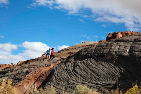 イントゥ・ザ・ネイチャー 自然が教えてくれること 画像6