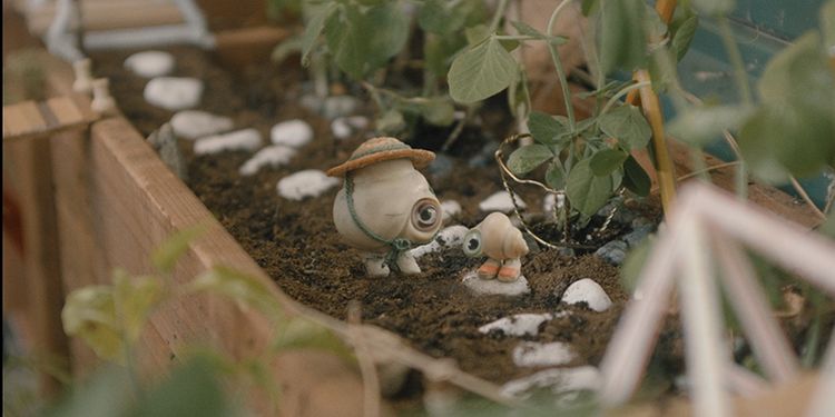 マルセル 靴をはいた小さな貝 画像3