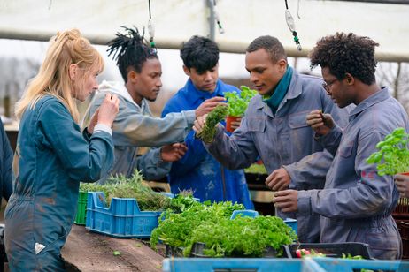 ウィ、シェフ！ 画像3