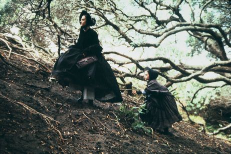 ピアノ・レッスン 4Kデジタルリマスター 画像8