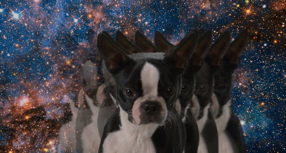 スラムドッグス 画像6