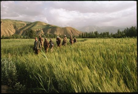 鉛筆と銃 長倉洋海の眸 画像2