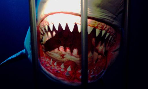 シャーク・ド・フランス 画像6