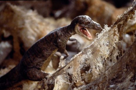 スーパーマリオ 魔界帝国の女神 4Kレストア版 画像8