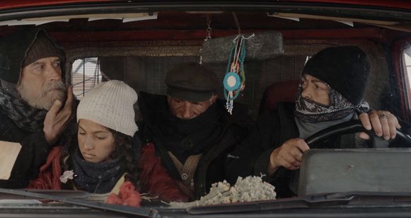 葬送のカーネーション 画像4