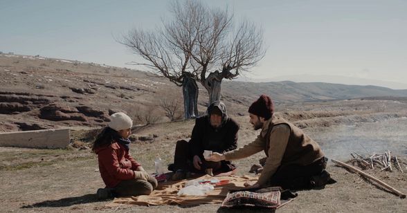 葬送のカーネーション 画像8