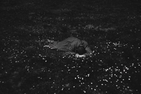 神の道化師、フランチェスコ デジタル・リマスター版 画像8