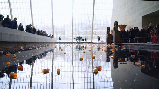 美と殺戮のすべて 画像2