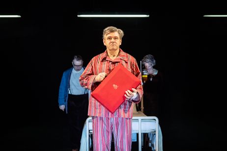 ナショナル・シアター・ライブ２０２４「ナイ ～国民保健サービスの父～」 画像2