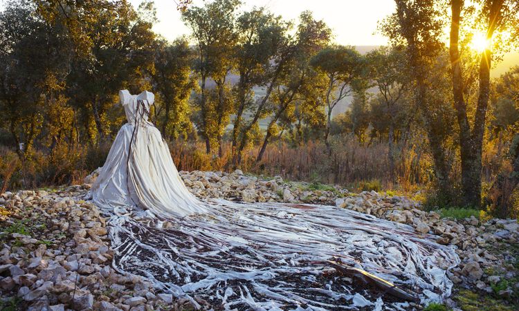 アンゼルム　”傷ついた世界”の芸術家 画像2