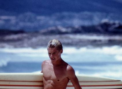 エンドレス・サマー デジタルリマスター版 画像5