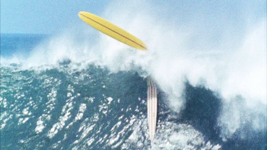 エンドレス・サマー デジタルリマスター版 画像8