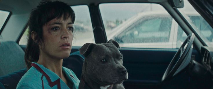 またヴィンセントは襲われる 画像4