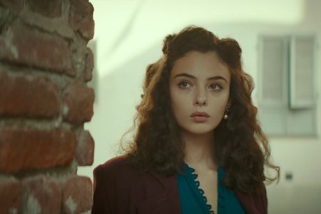 美しい夏 画像5