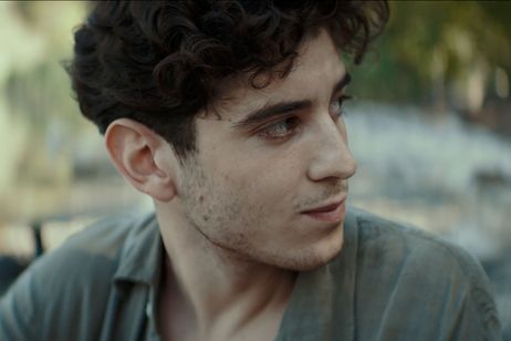 美しい夏 画像6