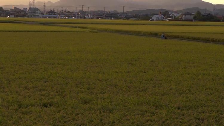HEAVEN 画像6