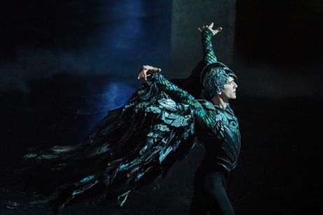 パリ・オペラ座「白鳥の湖」IMAX 画像7