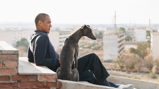 ブラックドッグ 画像4