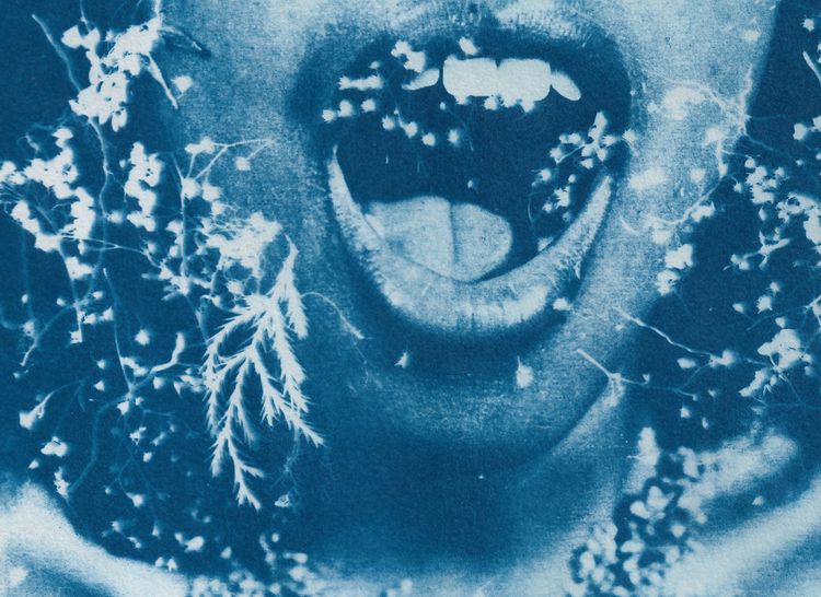 オリビアと雲 画像5