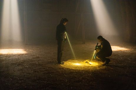 ロングレッグス 画像4