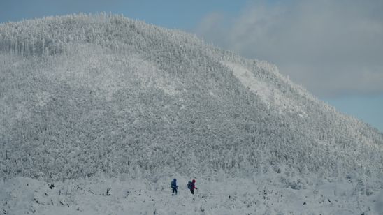小屋番 KOYABAN～八ヶ岳に生きる～ 画像5
