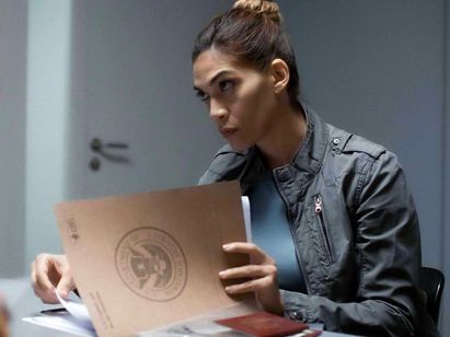 入国審査 画像2